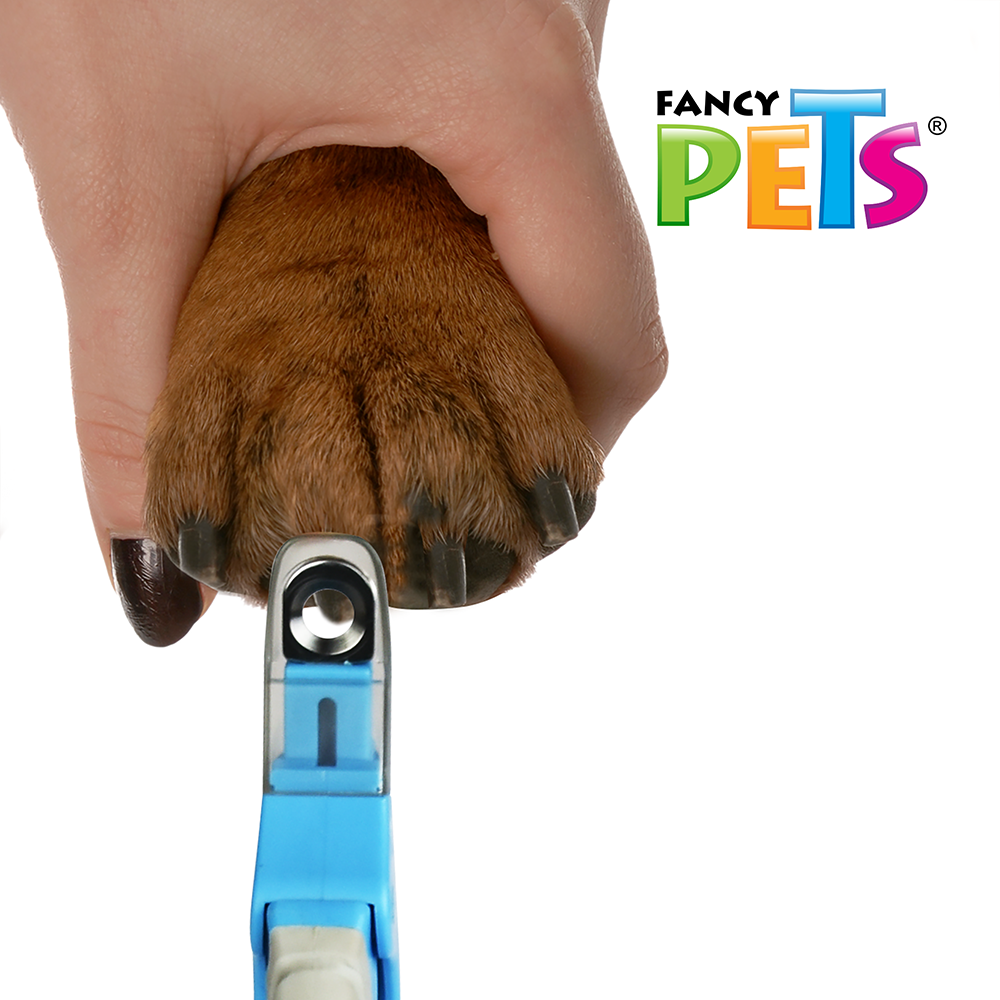 Foto 6 pulgar | Cortaúñas de Guillotina para Perro Fancy Pets FL8304 Azul