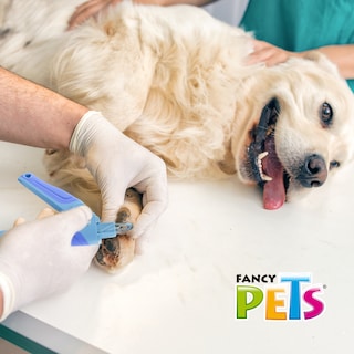 Foto 6 | Cortaúñas de Guillotina para Perro Fancy Pets FL8304 Azul