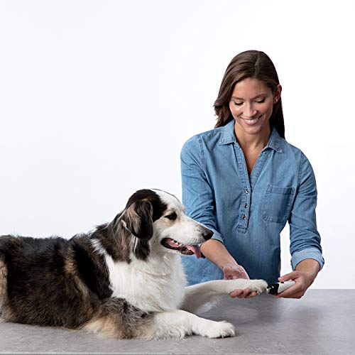 Foto 6 pulgar | Amoladora De Uñas Bissell Cordless Premium Para Perro Y Gato 26891 - Venta Internacional.