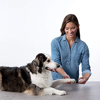 Foto 5 | Amoladora De Uñas Bissell Cordless Premium Para Perro Y Gato 26891 - Venta Internacional.