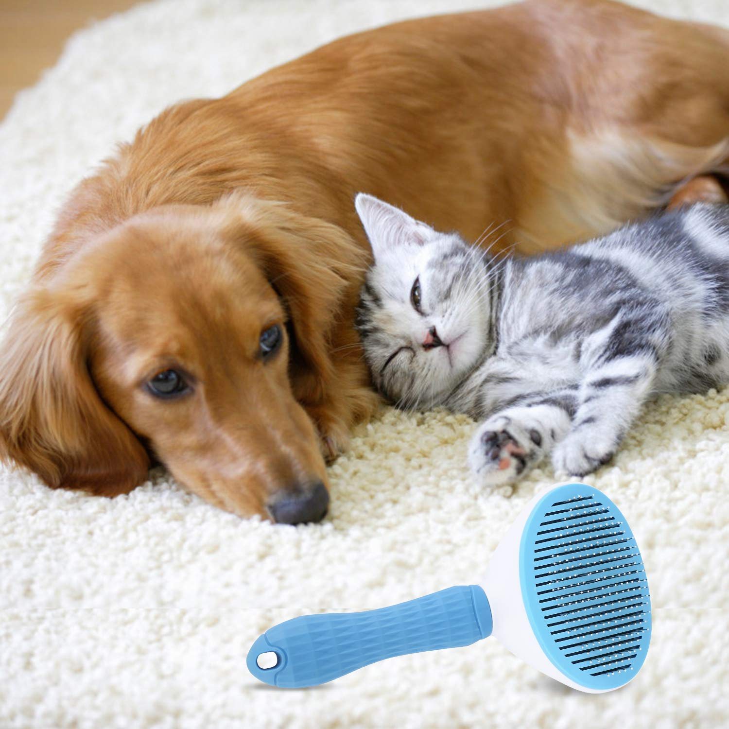 Foto 5 | Cepillo Autolimpiante Jieyou Para El Aseo De Perros, Gatos Y Conejos - Venta Internacional.