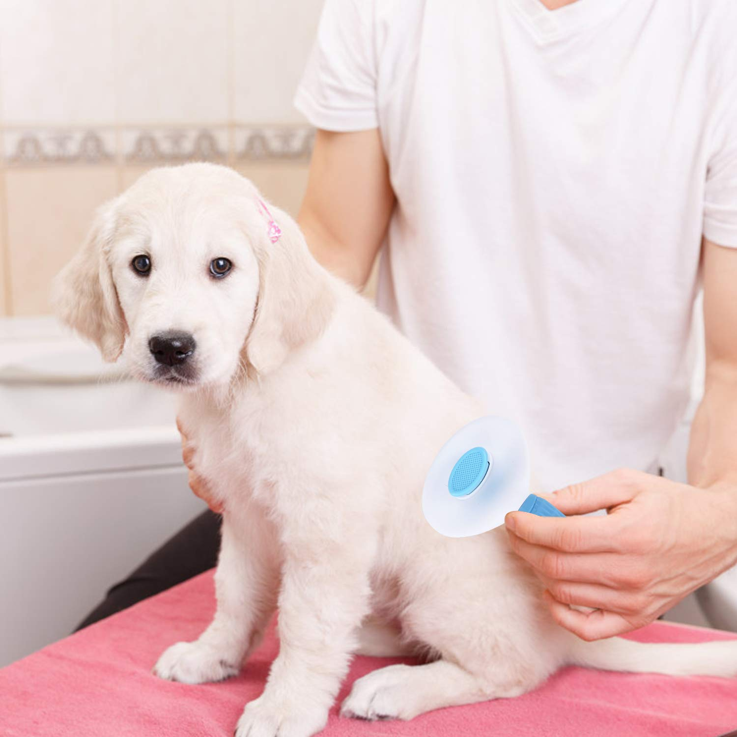 Foto 6 | Cepillo Autolimpiante Jieyou Para El Aseo De Perros, Gatos Y Conejos - Venta Internacional.