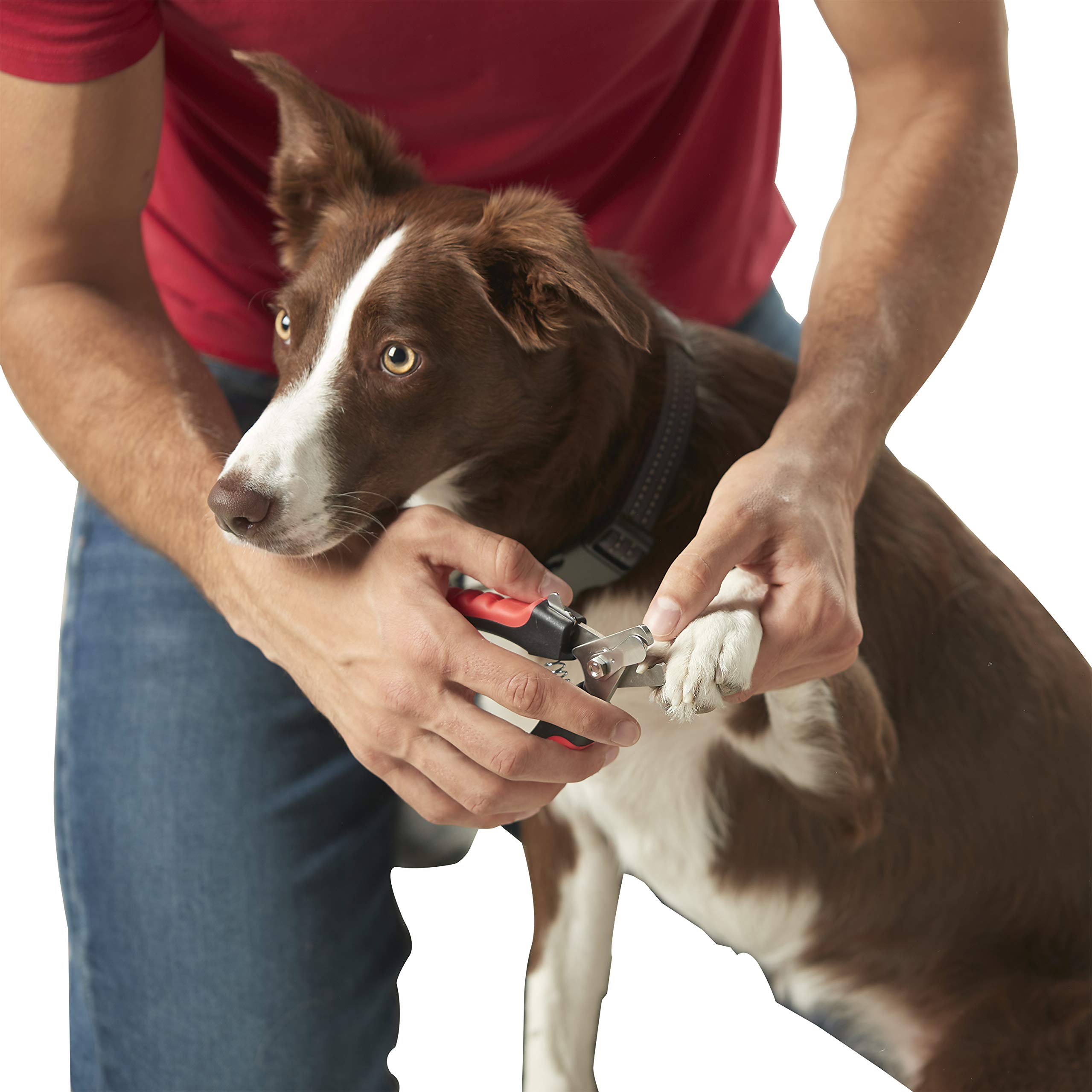 Franklin Pet Supply — Cortaúñas Para Perros Y Gatos Con Segu - Venta Internacional.