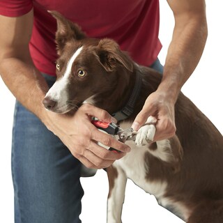 Foto 1 | Franklin Pet Supply — Cortaúñas Para Perros Y Gatos Con Segu - Venta Internacional.