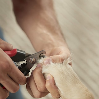 Foto 2 | Franklin Pet Supply — Cortaúñas Para Perros Y Gatos Con Segu - Venta Internacional.