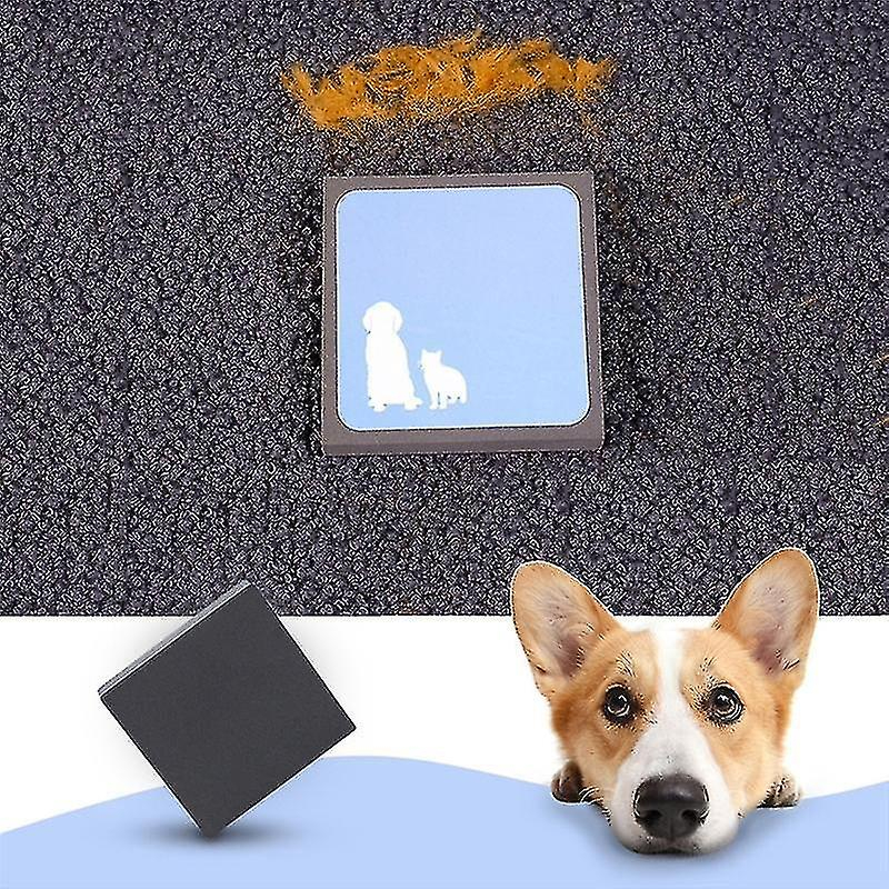 Cepillo De Limpieza De Pelo Para Mascotas, Gomaespuma, Para Jaula De Pájaros - Venta Internacional.