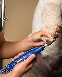 Foto 3 | Kit De Molinillo De Uñas Wahl Professional Animal Pet - Venta Internacional.