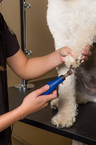 Foto 4 | Kit De Molinillo De Uñas Wahl Professional Animal Pet - Venta Internacional.