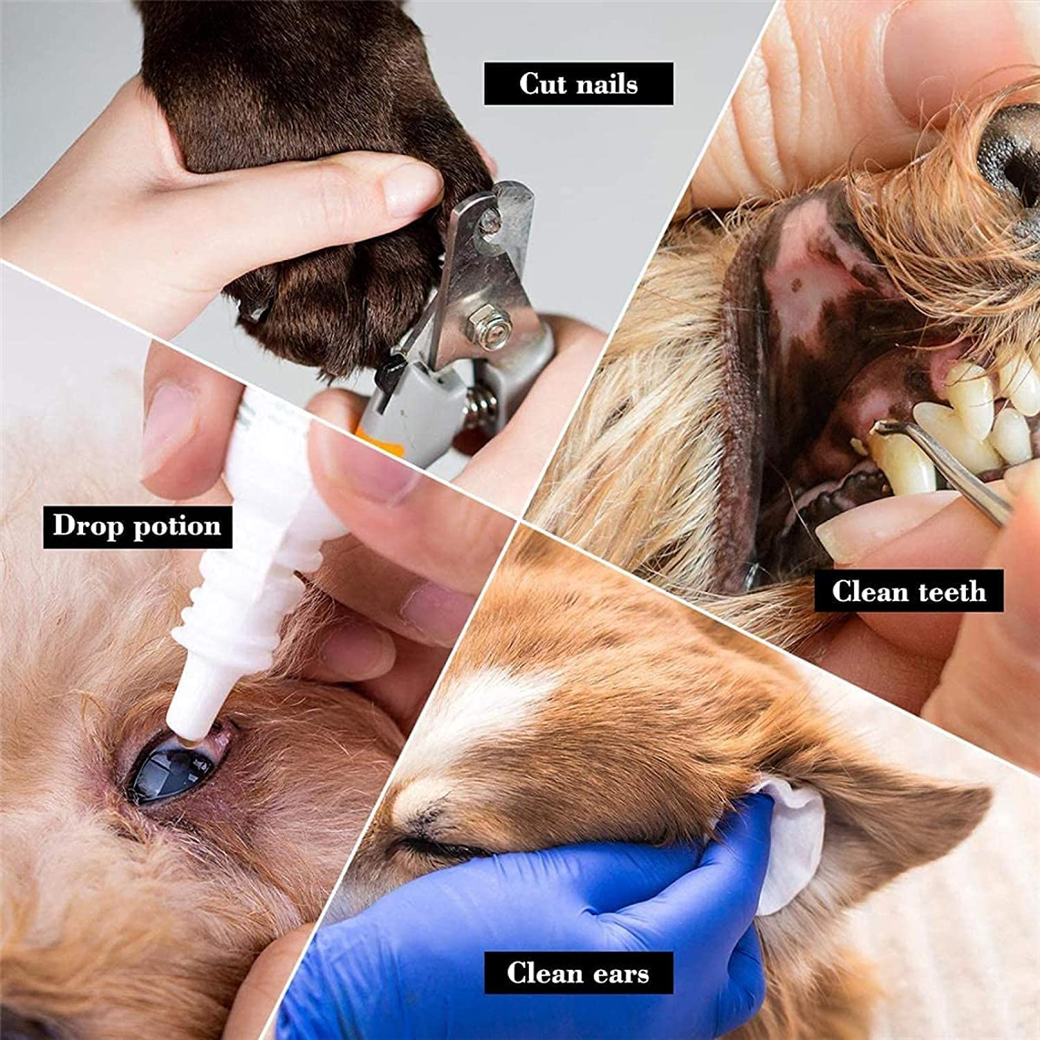 Foto 3 pulgar | Hamaca De Peluquería Canina Jieyou Para Perros Medianos De Hasta 60 Kg - Venta Internacional.