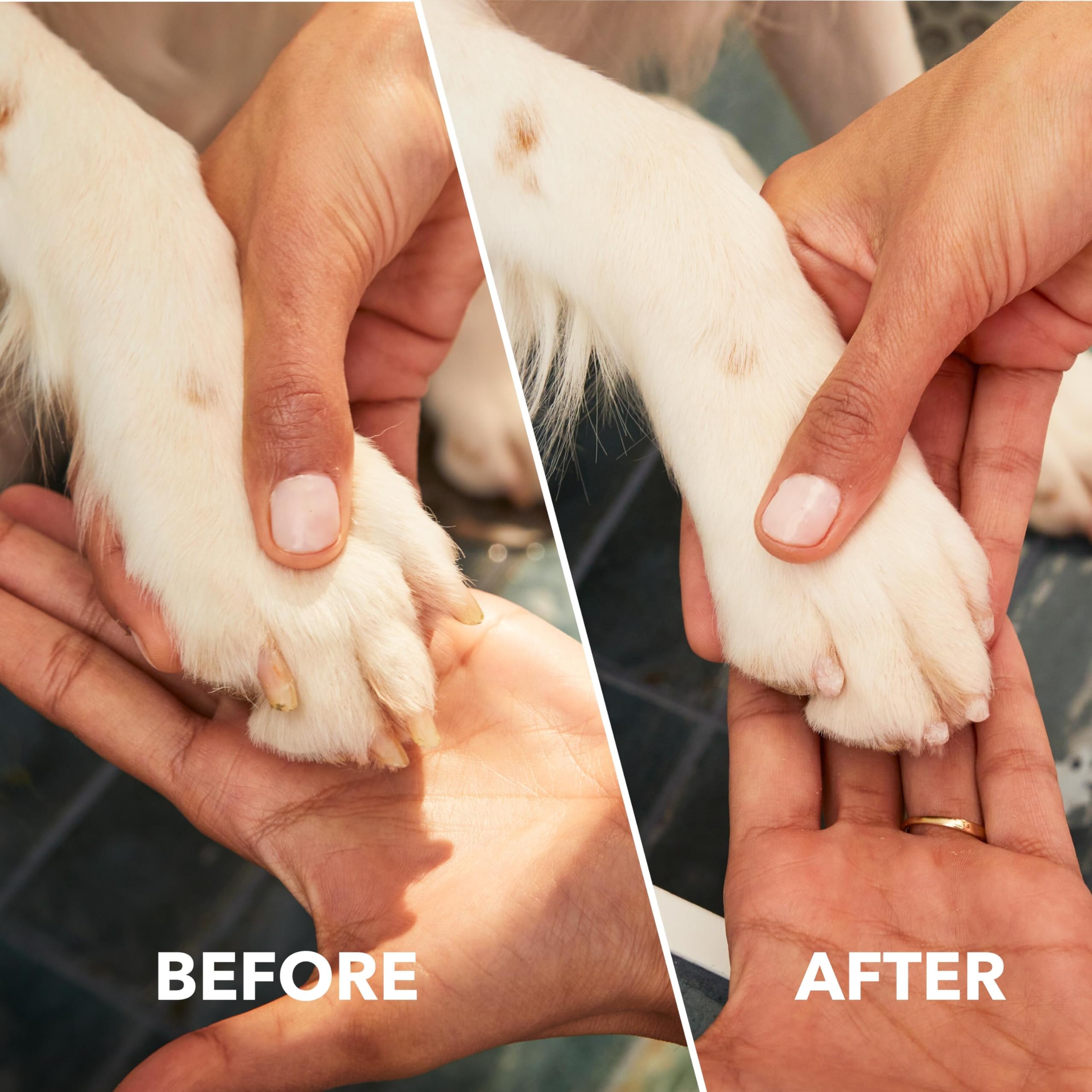 Foto 5 | Kit De Herramientas Para El Cuidado De Mascotas Dremel Pawcontrol 7760-pgk Para Perros - Venta Internacional.