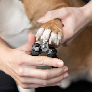 Foto 2 | Cortauñas Tweezerman Small Para Perros Y Gatos - Venta Internacional.