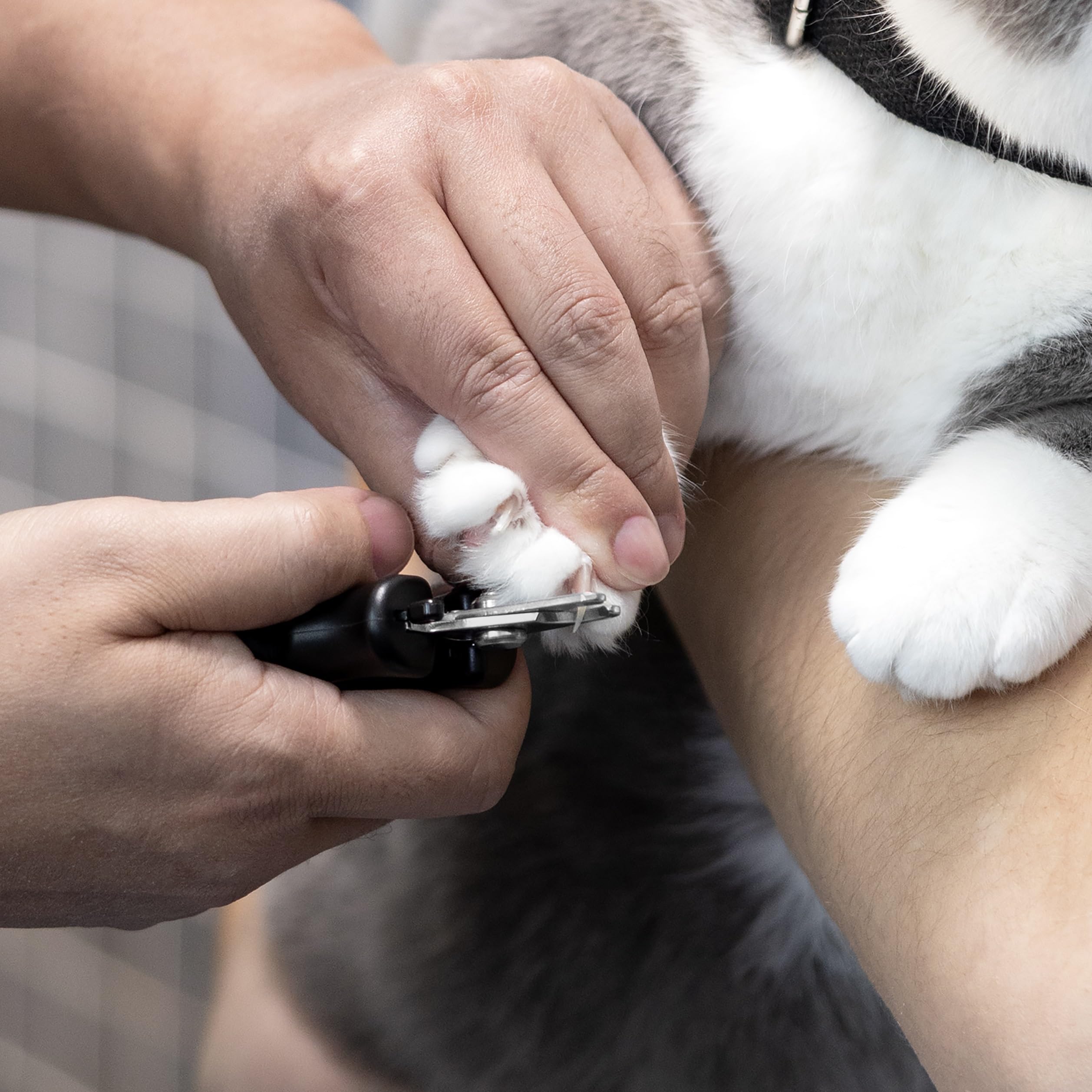 Foto 4 pulgar | Cortauñas Tweezerman Small Para Perros Y Gatos - Venta Internacional.