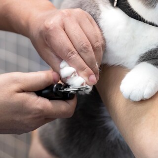 Foto 3 | Cortauñas Tweezerman Small Para Perros Y Gatos - Venta Internacional.