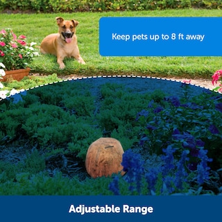 Foto 3 | Barrera Impermeable Para Exteriores Petsafe - Venta Internacional.