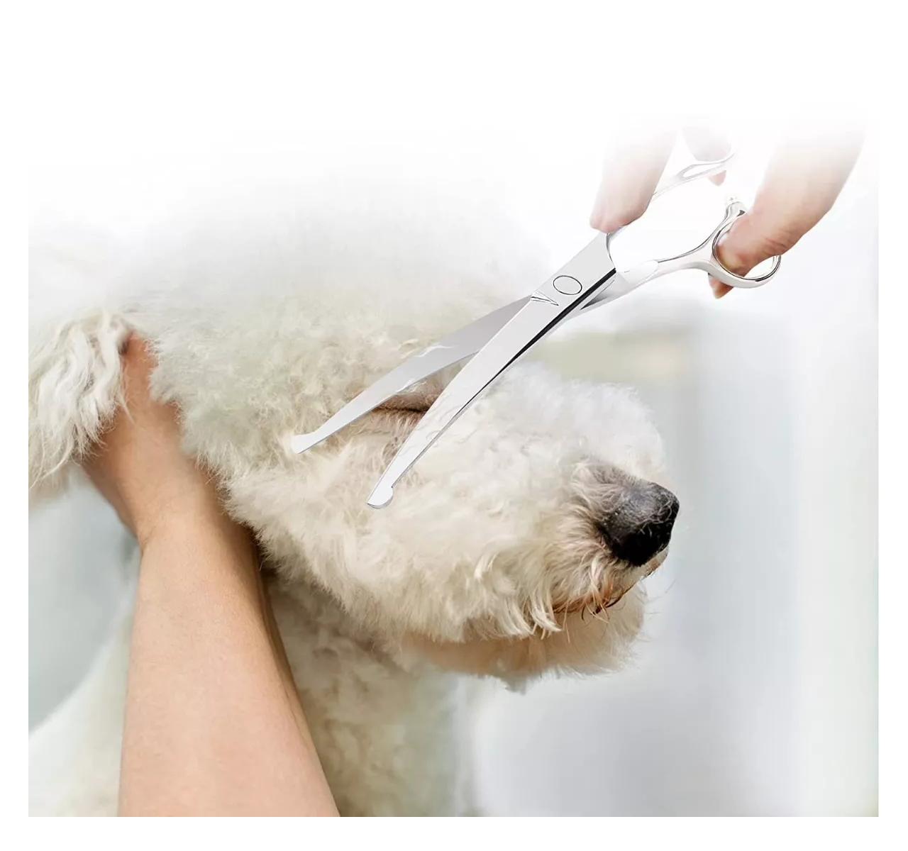 Foto 5 pulgar | Kit de Tijeras para Peluquería Canina Eo Safe Imports Esi-7901 color Plata 9 PZAS