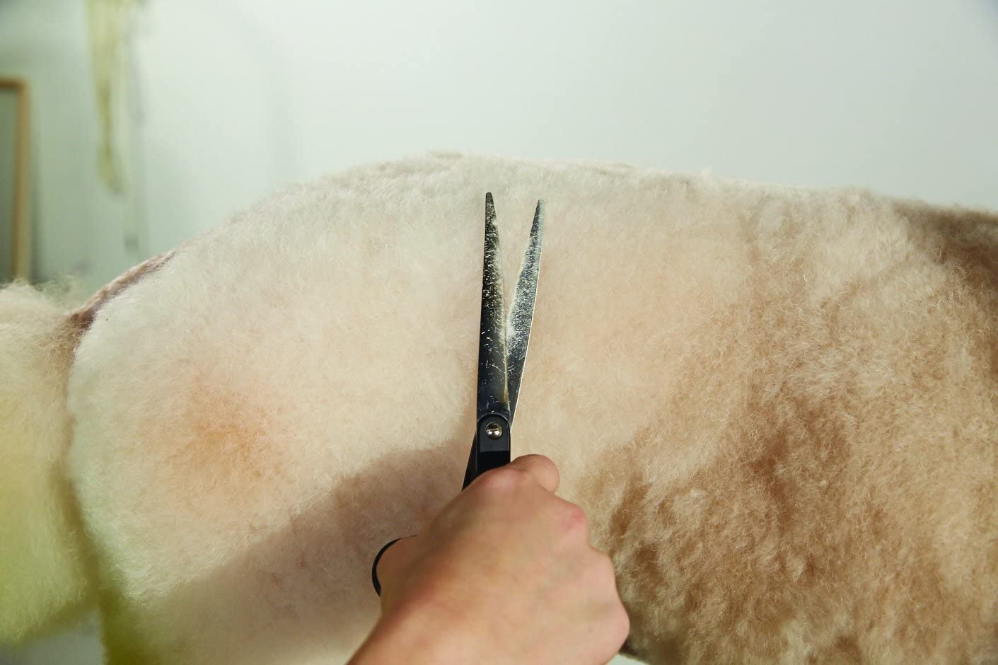 Foto 4 pulgar | Shear Andis Premium Con Punta Esférica De 6.5 Pulgadas Para Zurdos Para El Aseo De Mascotas - Venta Internacional.