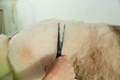 Foto 3 | Shear Andis Premium Con Punta Esférica De 6.5 Pulgadas Para Zurdos Para El Aseo De Mascotas - Venta Internacional.