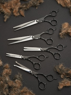 Foto 4 | Tijeras Rectas Andis Professional Para El Aseo De Perros Y Gatos - Venta Internacional.