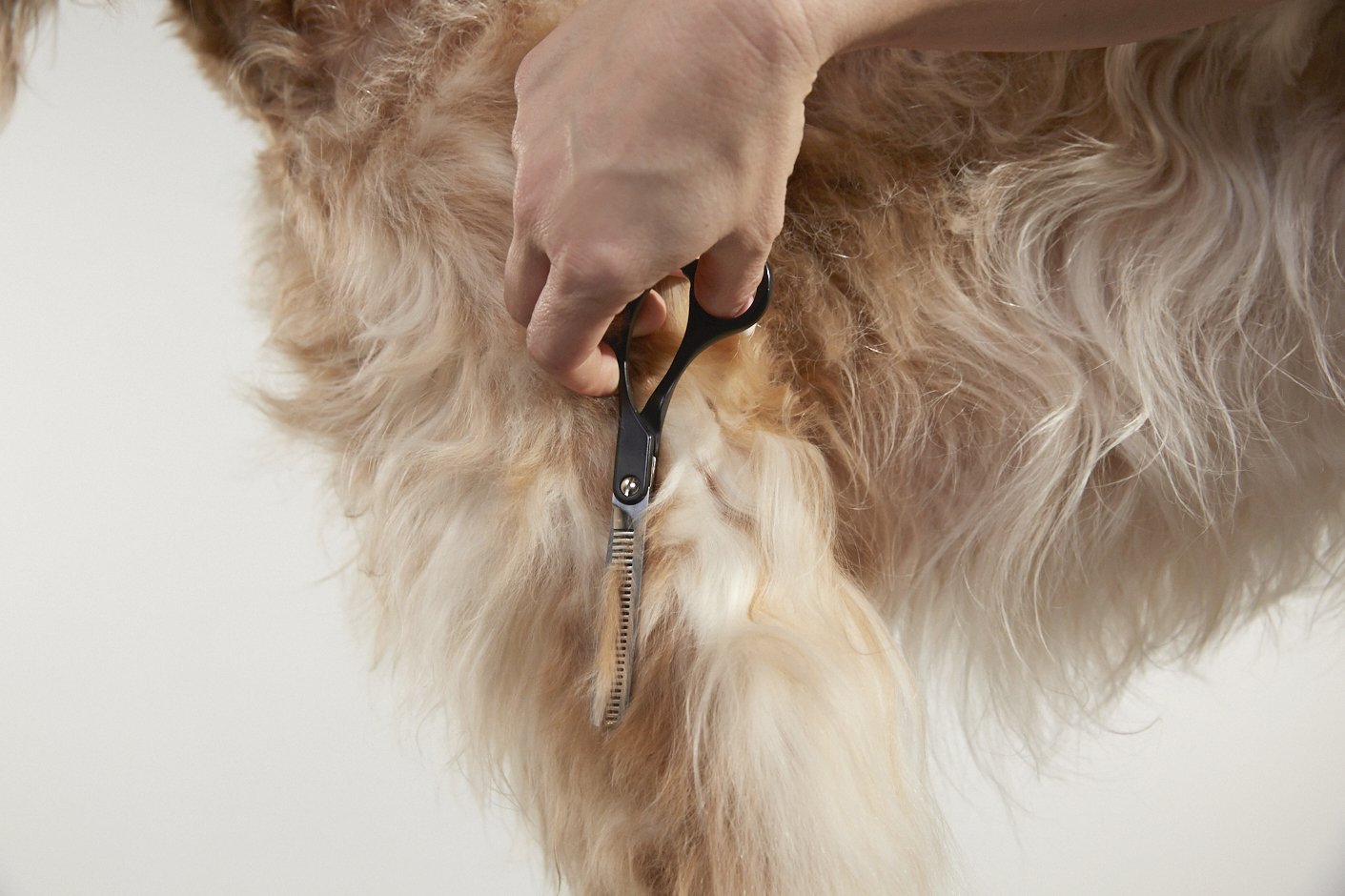 Foto 5 pulgar | Peluquería Profesional Para Perros Y Gatos Straight Shears Andis - Venta Internacional.