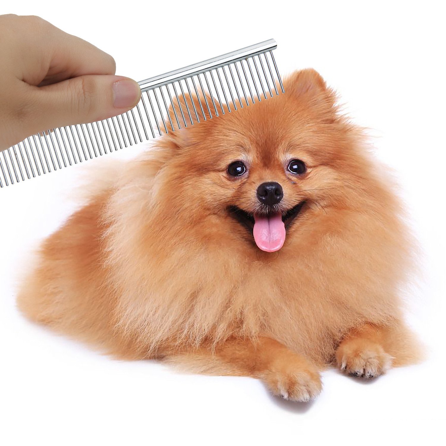 Foto 8 pulgar | Juego de Tijeras de Aseo para Mascotas Gemek 4 Piezas de Acero Inoxidable - Venta Internacional