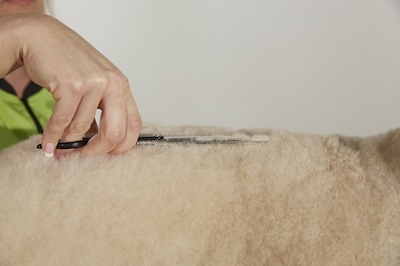 Foto 2 | Shears Andis 8 Straight Zurd Professional Perro Gato - Venta Internacional.