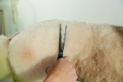Foto 3 | Shears Andis 8 Straight Zurd Professional Perro Gato - Venta Internacional.