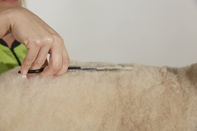 Foto 2 | Shear Andis Premium 6.25 Straight Zurdo Professional - Venta Internacional.