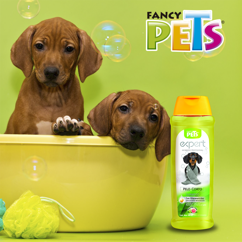 Foto 4 pulgar | Shampoo Fancy Pets FL3994 Expert Shampoo para Perro con Pelo Corto con 500 ML