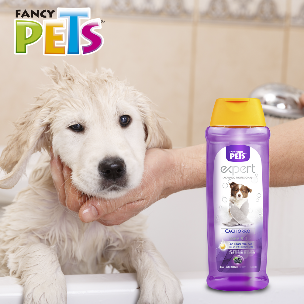 Foto 5 pulgar | Shampoo Expert Fancy Pets con 500 Mililitros para Perro Cachorro