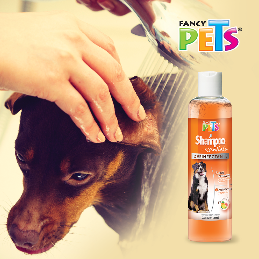 Foto 3 pulgar | Shampoo Essentials Fancy Pets 250 Mililitros de Antibacterial y Fungicida para Perro