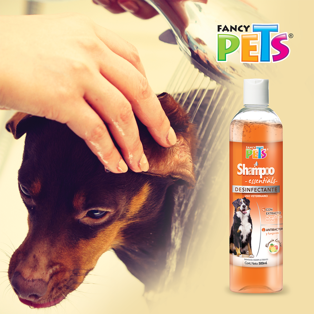 Foto 3 pulgar | Shampoo Essentials Fancy Pets Desinfectante/Antibacterial y Fungicida de 500 Mililitros para Perro