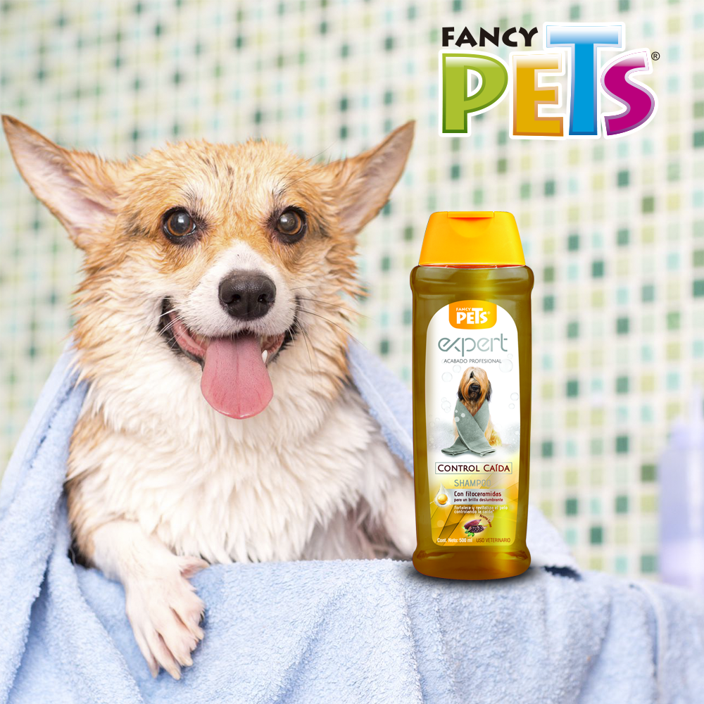 Foto 4 pulgar | Shampoo Expert  Fancy Pets para Perro Control Caída con 500 Mililitros