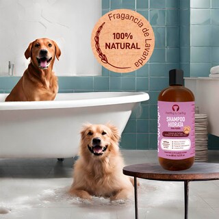 Foto 4 | Shampoo Hidrata para Mascotas Petting Is Caring 480 ml