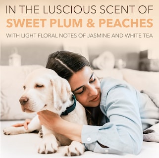 Foto 4 | Colonia En Aerosol Para Perros Tropiclean Spa Renew Peach & Plum 240 Ml - Venta Internacional.