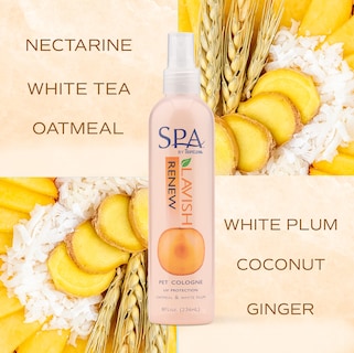 Foto 5 | Colonia En Aerosol Para Perros Tropiclean Spa Renew Peach & Plum 240 Ml - Venta Internacional.