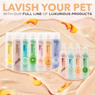 Foto 7 | Colonia En Aerosol Para Perros Tropiclean Spa Renew Peach & Plum 240 Ml - Venta Internacional.