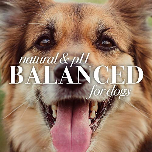Foto 6 | Jabón De Ojos Burt's Bees Para Mascotas Y Perros, Natural Con Solución Salina, 120 Ml - Venta Internacional.