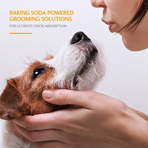 Foto 6 pulgar | Shampoo Arm & Hammer Super Desodorizante Para Perros, 600 Ml, Paquete De 6 - Venta Internacional.