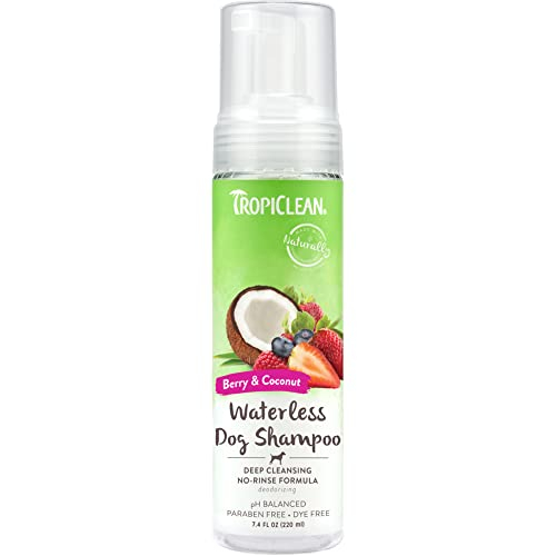 Champú Sin Agua Tropiclean Deep Cleansing 220 Ml Para Perros - Venta Internacional.