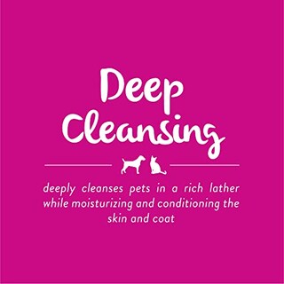 Foto 6 | Champú Sin Agua Tropiclean Deep Cleansing 220 Ml Para Perros - Venta Internacional.
