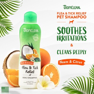 Foto 2 | Champú Antipulgas Tropiclean Con Aceite De Cítricos Y Neem Para Perros, 600 Ml - Venta Internacional.