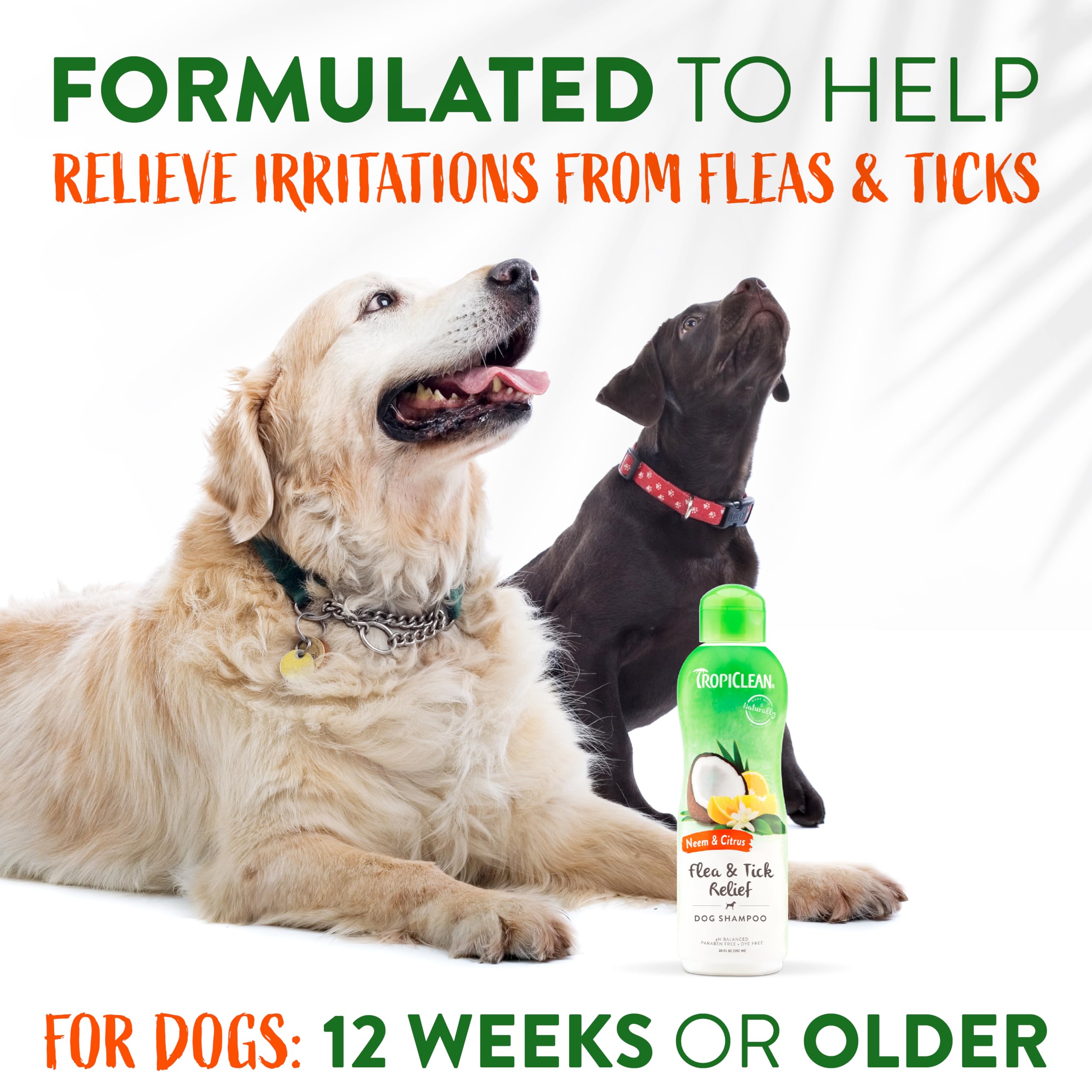 Foto 5 pulgar | Champú Antipulgas Tropiclean Con Aceite De Cítricos Y Neem Para Perros, 600 Ml - Venta Internacional.