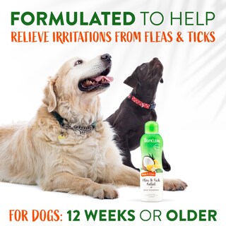Foto 4 | Champú Antipulgas Tropiclean Con Aceite De Cítricos Y Neem Para Perros, 600 Ml - Venta Internacional.