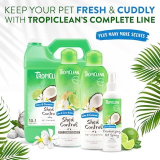 Foto 7 | Perfume En Spray Tropiclean Lime & Coconut Para Perros 240 Ml - Venta Internacional.