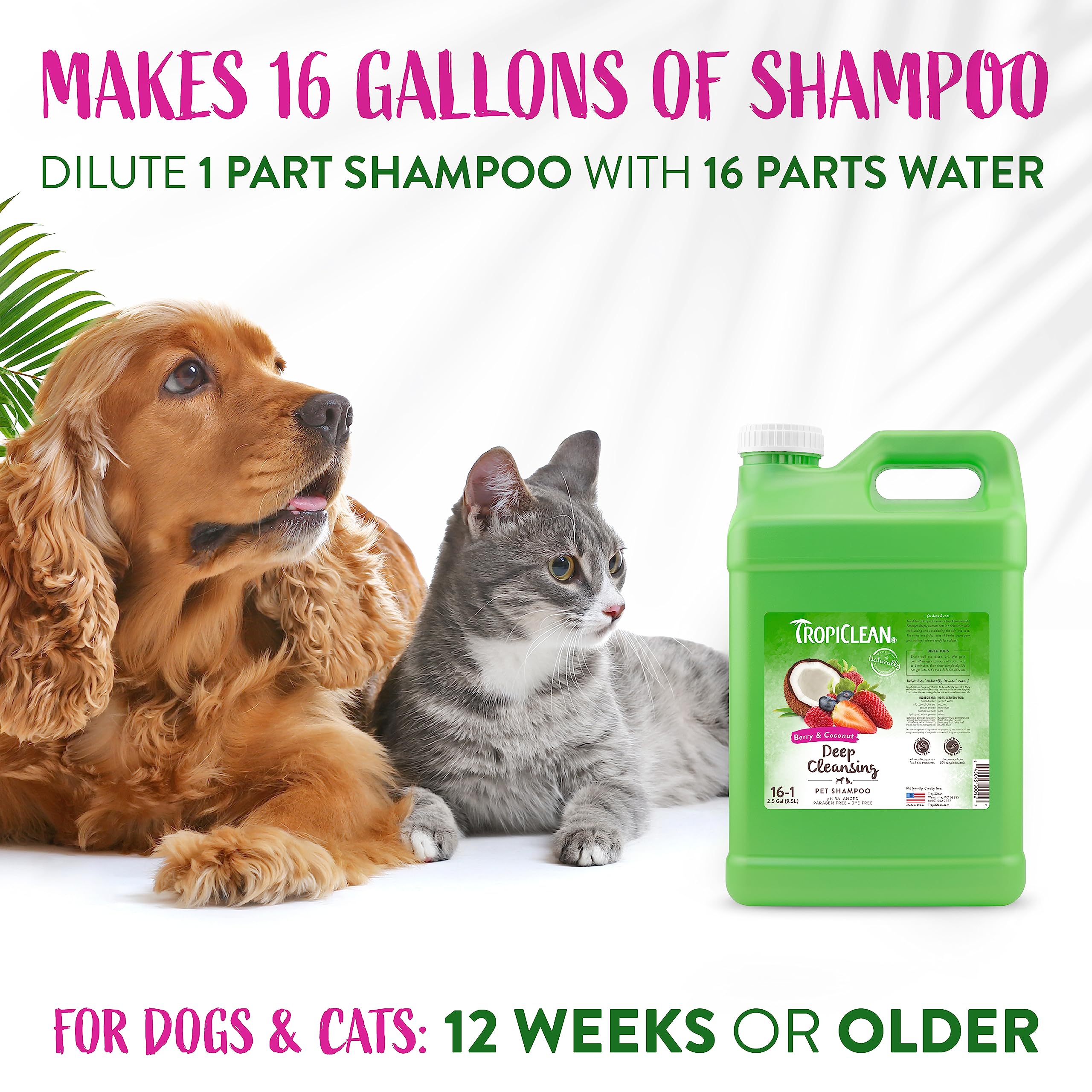 Foto 6 pulgar | Champú Para Perros Tropiclean Berry & Coconut Deep Cleansing 9.5 L - Venta Internacional.