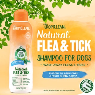 Foto 2 | Champú Para Perros Tropiclean Soothing Natural Pulgas/tick 600 Ml Usa - Venta Internacional.