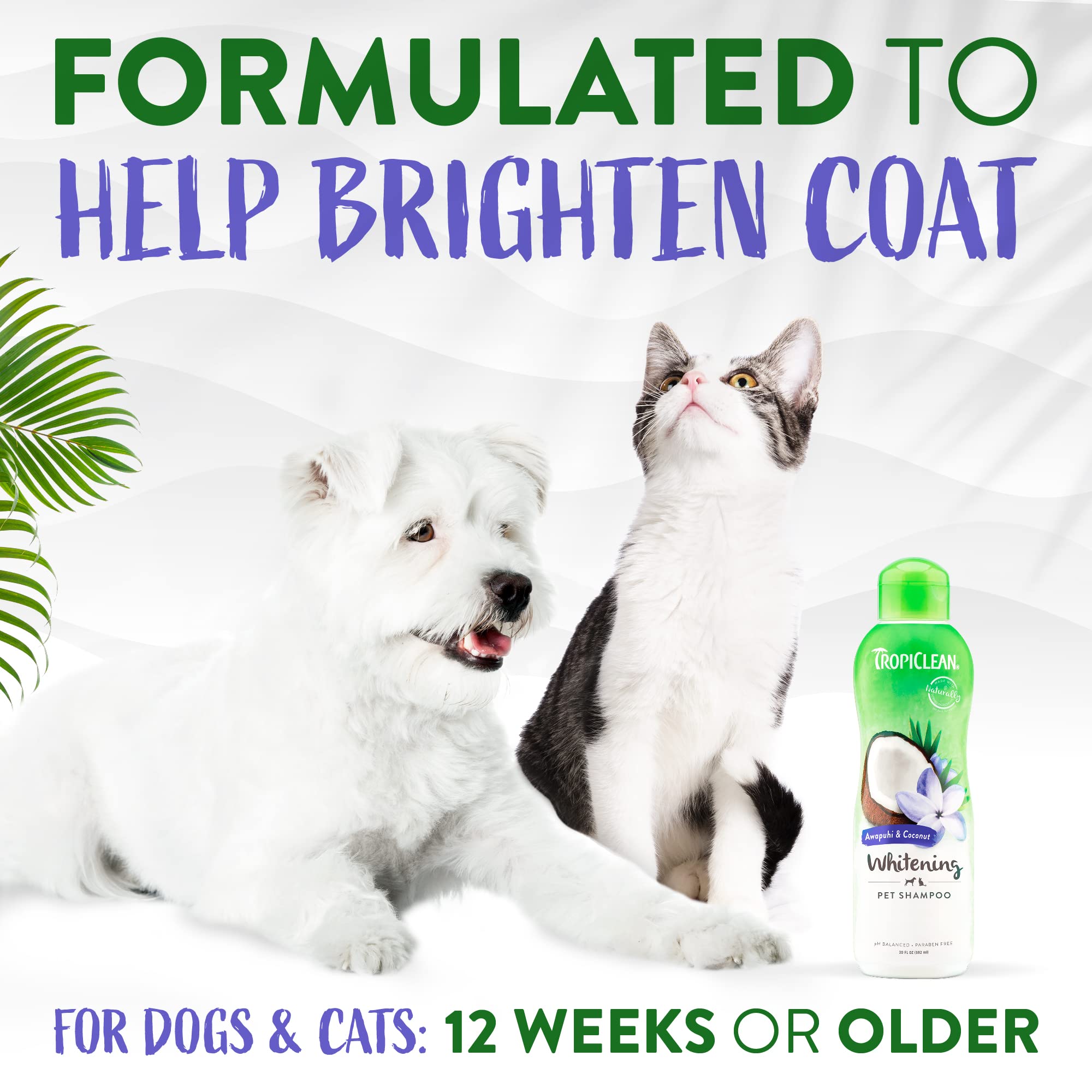 Foto 5 pulgar | Champú Para Perros Tropiclean Awapuhi Coconut Whitening 600 Ml - Venta Internacional.