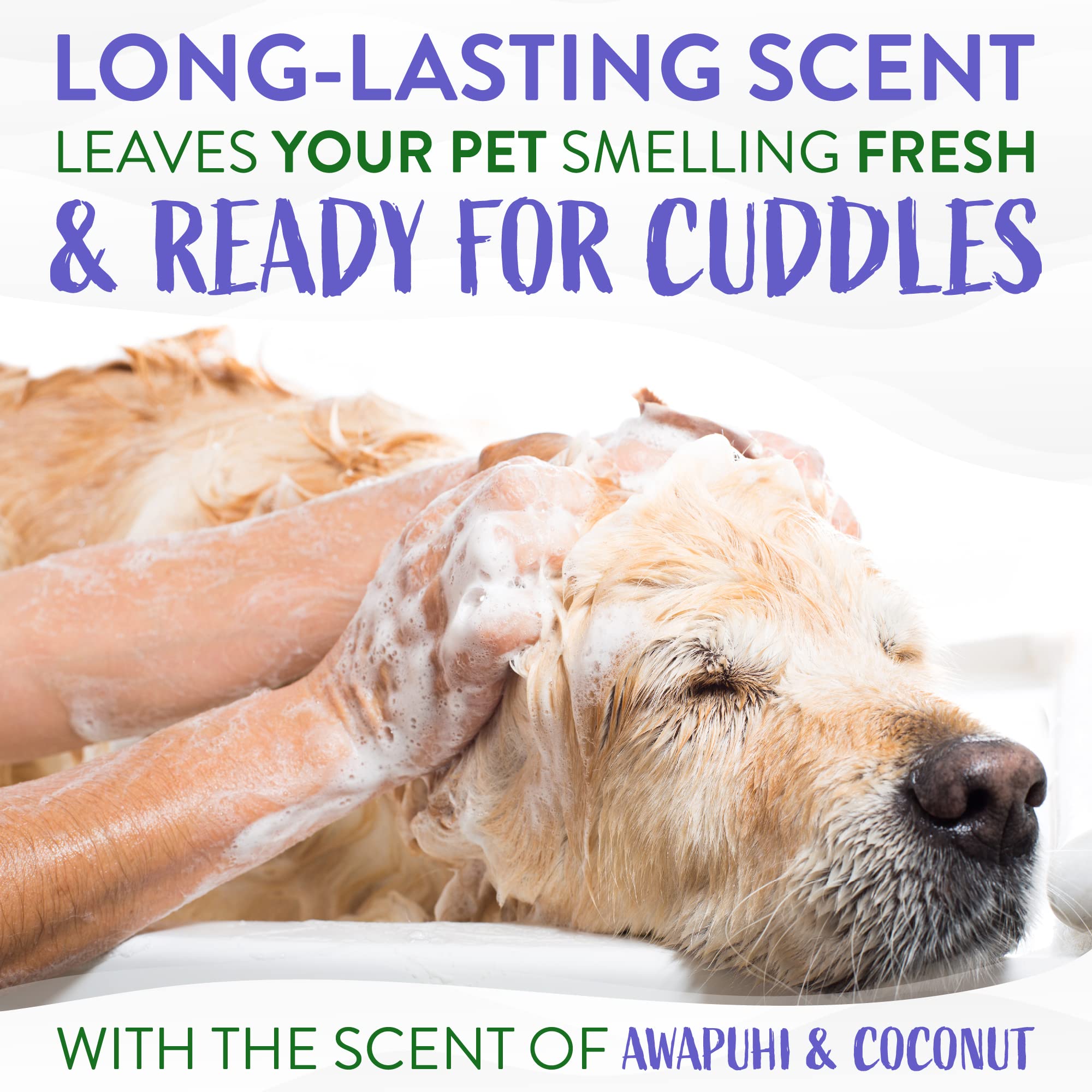 Foto 6 pulgar | Champú Para Perros Tropiclean Awapuhi Coconut Whitening 600 Ml - Venta Internacional.