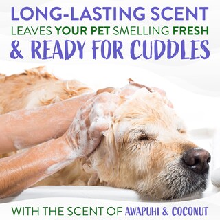 Foto 5 | Champú Para Perros Tropiclean Awapuhi Coconut Whitening 600 Ml - Venta Internacional.