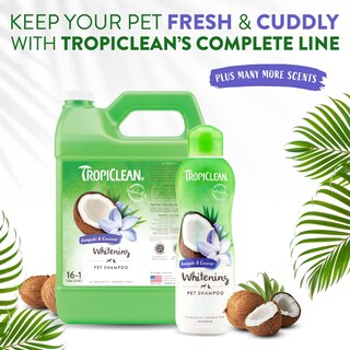 Foto 7 | Champú Para Perros Tropiclean Awapuhi Coconut Whitening 600 Ml - Venta Internacional.